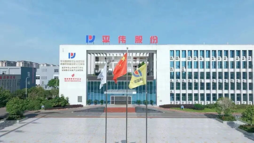 图片6